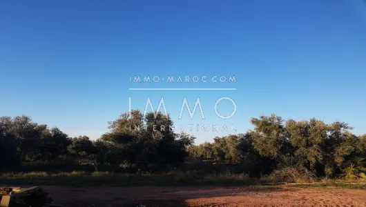 purchase ground Farm Marrakech Exterior Road Sidi Abdellah Ghiat