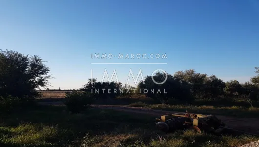 Sell ​​ground Farm Marrakech Exterior Road Sidi Abdellah Ghiat