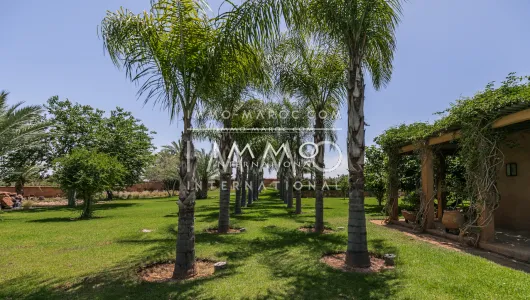 Vente villa Marocain épuré immobilier luxe à vendre marrakech Marrakech