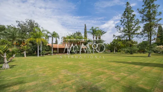 Vente villa Local Commercial luxe Marrakech Palmeraie Bab Atlas