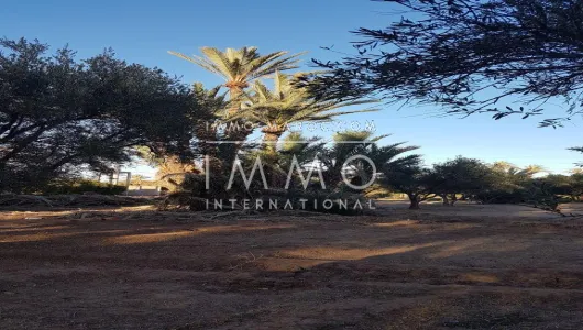 achat terrain Terrain a lotir Marrakech Palmeraie Bab Atlas