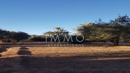 Vente terrain Terrain a lotir Marrakech Palmeraie Bab Atlas