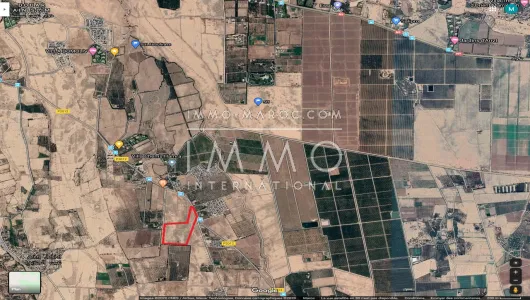 For Sale Land Marrakech Other Exterior