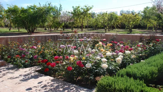 Vente maison Moderne Marrakech Extérieur Route Ourika