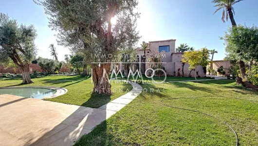 villa achat Contemporain de prestige Marrakech Palmeraie Bab Atlas