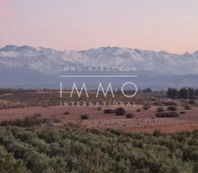achat terrain Terrain a lotir Marrakech Extérieur Autres Extérieur