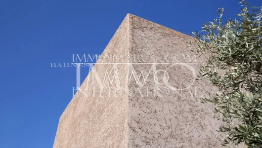 Achat villa Marocain épuré Prestige Marrakech Extérieur Route Amizmiz