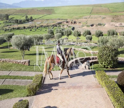 villa achat Marocain épuré prestige Marrakech Extérieur Route Amizmiz