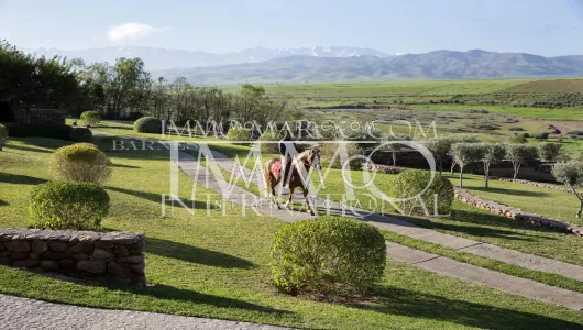 Vente maison Marocain épuré prestige Marrakech Extérieur Route Amizmiz