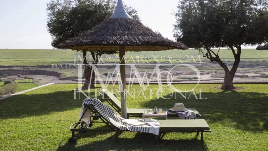 acheter maison Marocain épuré de prestige Marrakech Extérieur Route Amizmiz