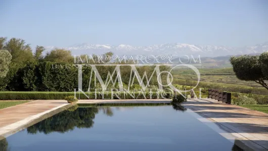 Villa à vendre Marocain épuré Marrakech Extérieur Route Amizmiz