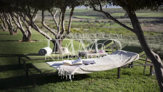 Vente maison Marocain épuré luxueuses Marrakech Extérieur Route Amizmiz