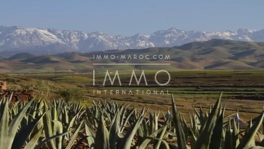 Vente terrain Maison d'hôtes Marrakech Extérieur Route Amizmiz