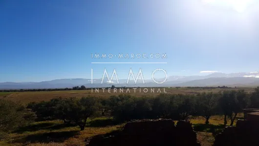 Vente terrain Terrain villa Marrakech Golfs Extérieur Autres Extérieur