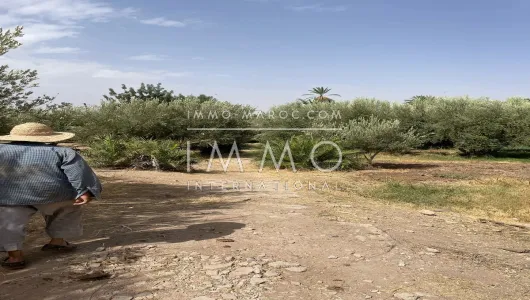 Vente terrain Marrakech