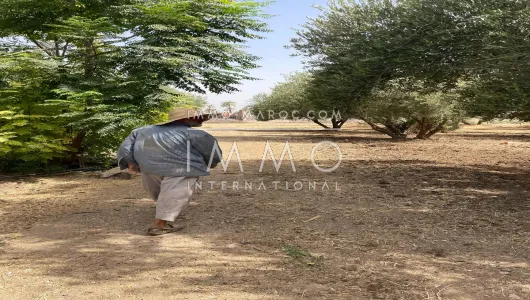 Vente terrain Marrakech