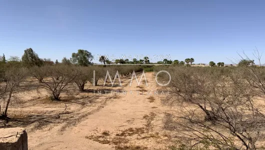 Vente terrain Marrakech Route Fes