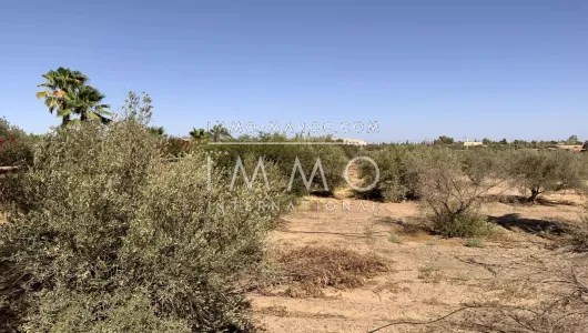 achat terrain Marrakech Route Fes