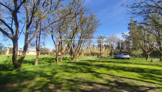 Vente terrain Terrain a lotir Marrakech Extérieur Route Ourika