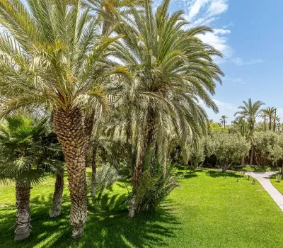 Vente maison Marrakech