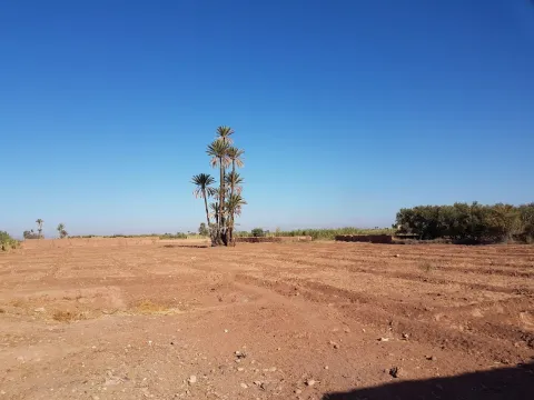 achat terrain Terrain villa Marrakech Palmeraie Bab Atlas