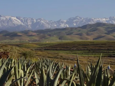 Vente terrain Maison d'hôtes Marrakech Extérieur Route Amizmiz