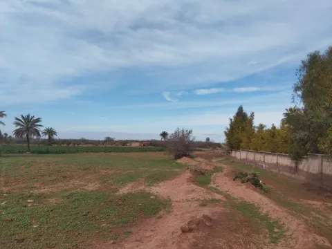 Terrain à vendre Terrain villa Marrakech Extérieur Route Ourika