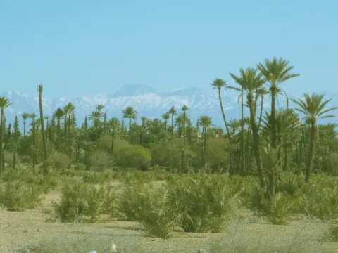 Vente terrain Marrakech